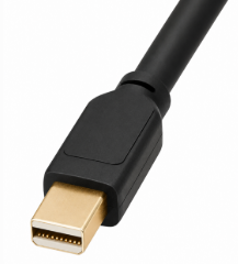 Mini DisplayPort connector for display and monitor connections.